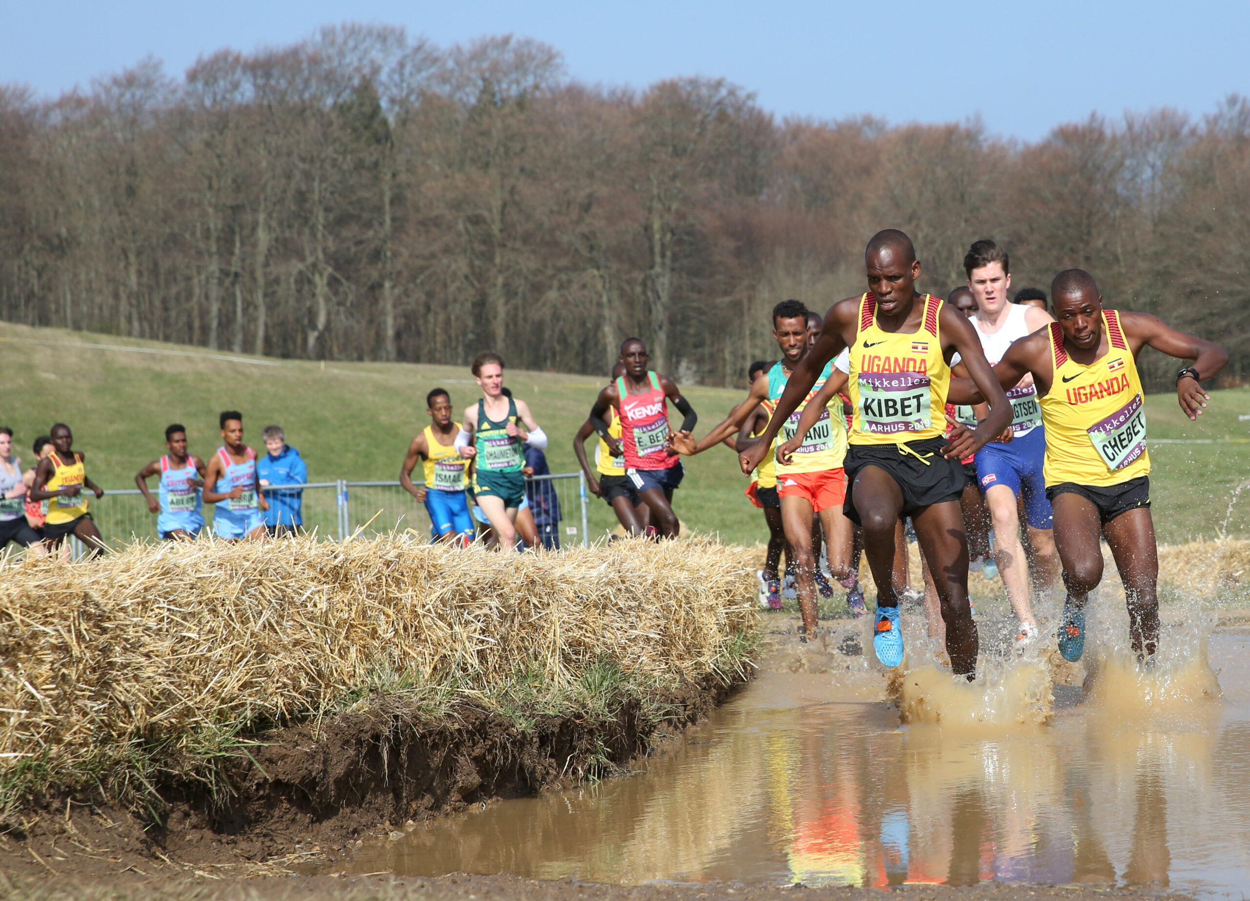 World’s best down under for World Athletics Cross Country Champs